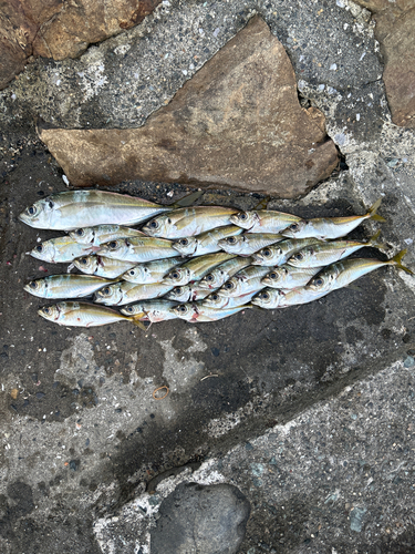 表浜名湖