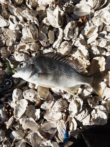 奥浜名湖