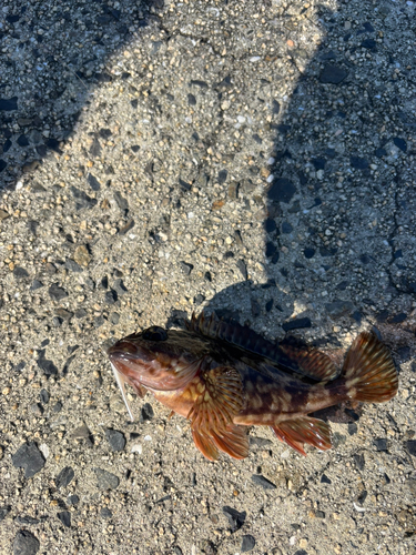 しまなみ海道