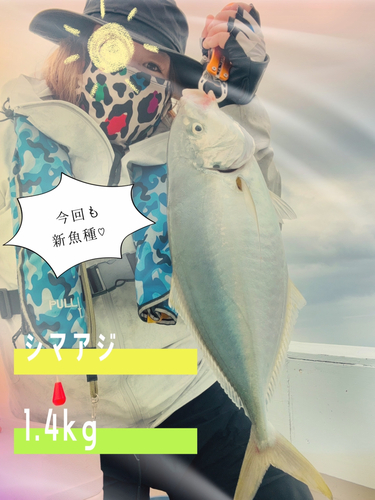 シマアジの釣果