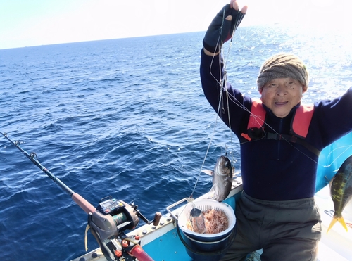 ウメイロの釣果