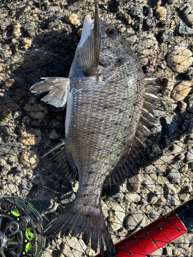 表浜名湖