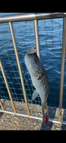 うみかぜ公園