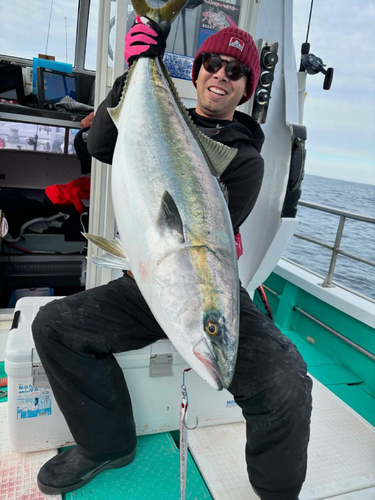 ブリの釣果