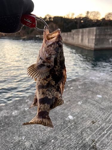 釣果