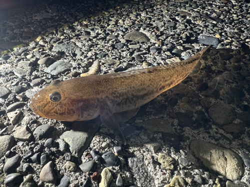 石狩湾新港