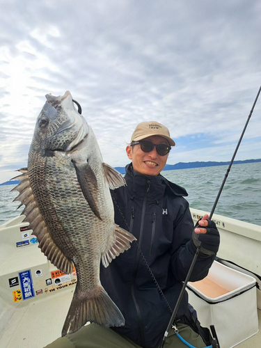 チヌの釣果