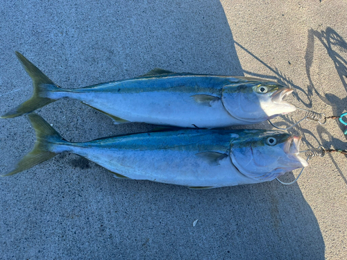 津軽海峡