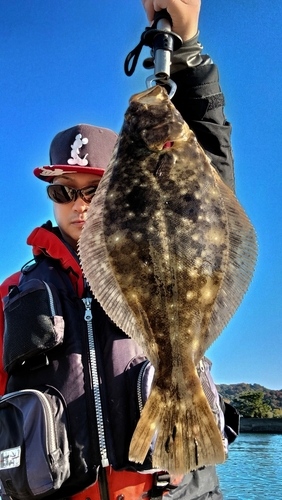 ヒラメの釣果