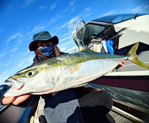 ヤズの釣果