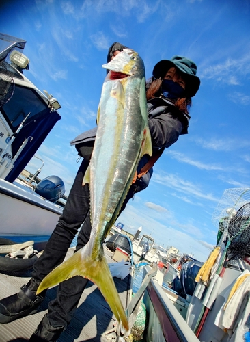 ヒラスの釣果