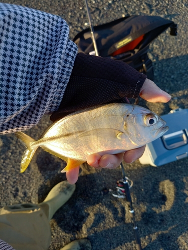 御幸の浜