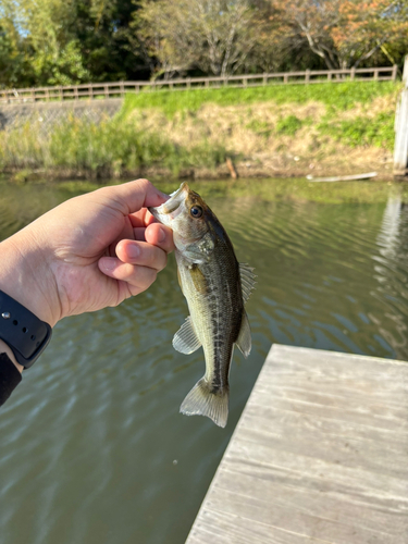 さつま湖