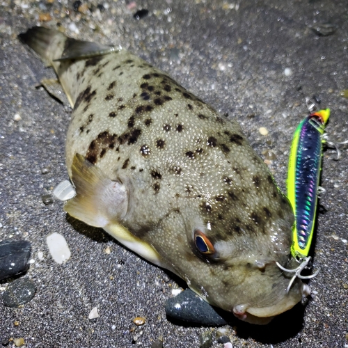 野比海岸