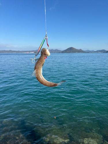 しまなみ海道