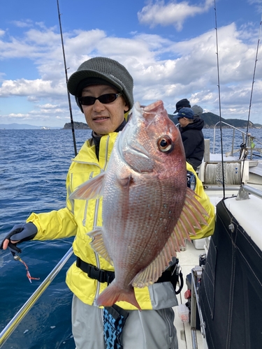 マダイの釣果