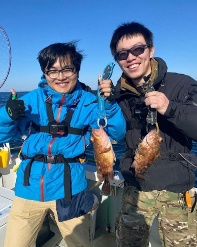 カサゴの釣果