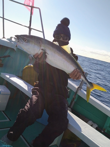 ワラサの釣果