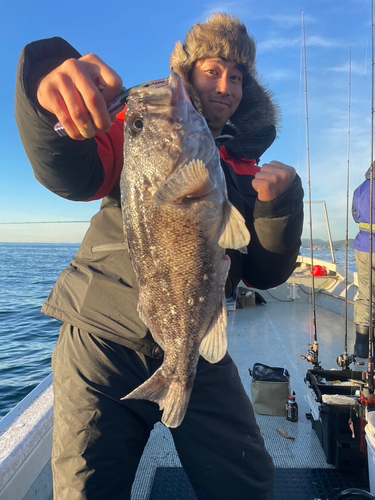 クロソイの釣果