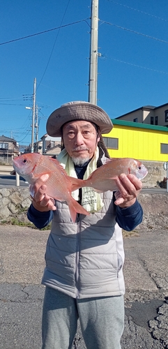 ハナダイの釣果