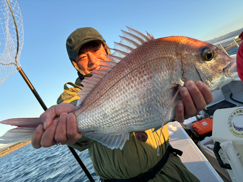 マダイの釣果