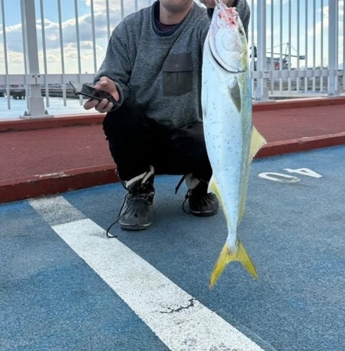 新地町海釣り公園