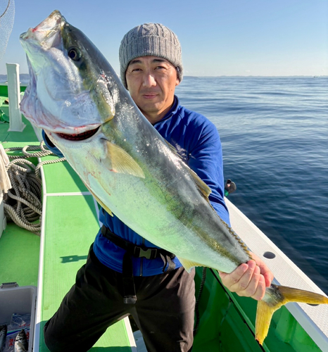 ブリの釣果