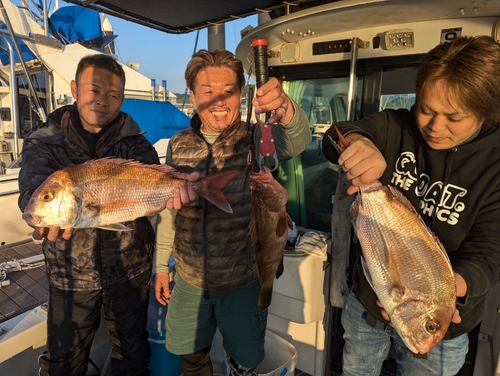 アコウの釣果