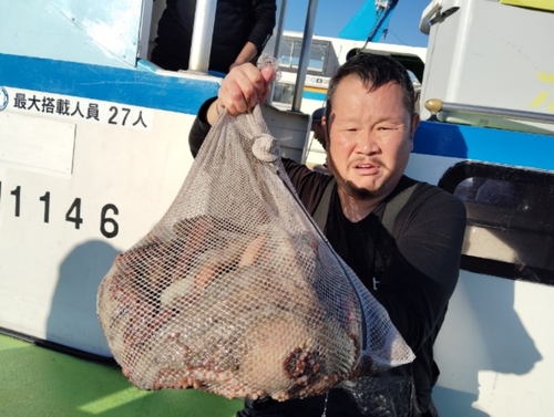 マダコの釣果