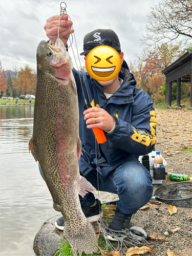 ニジマスの釣果