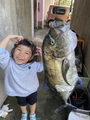 ナンヨウカイワリの釣果