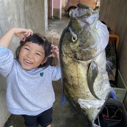 ナンヨウカイワリ