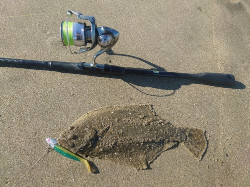 ソゲの釣果