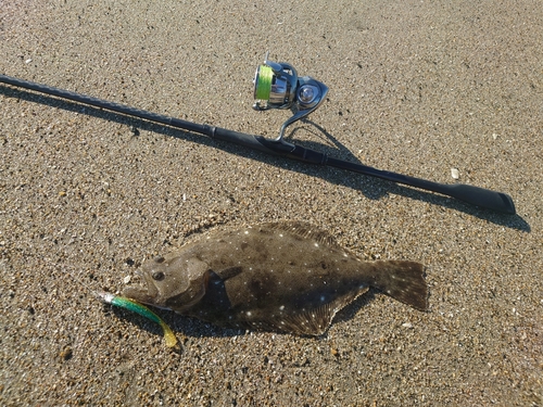 ソゲの釣果