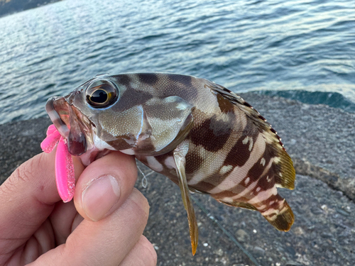 江浦湾