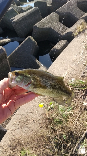 荒川温泉