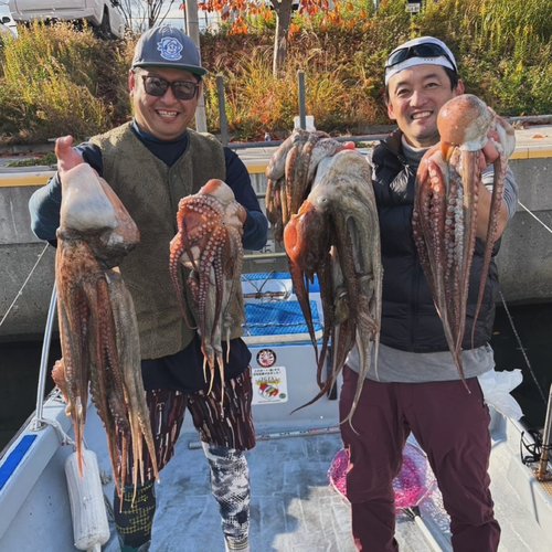 タコの釣果