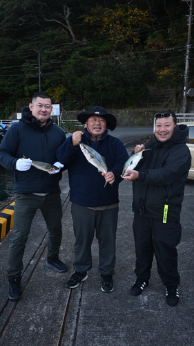 イナダの釣果