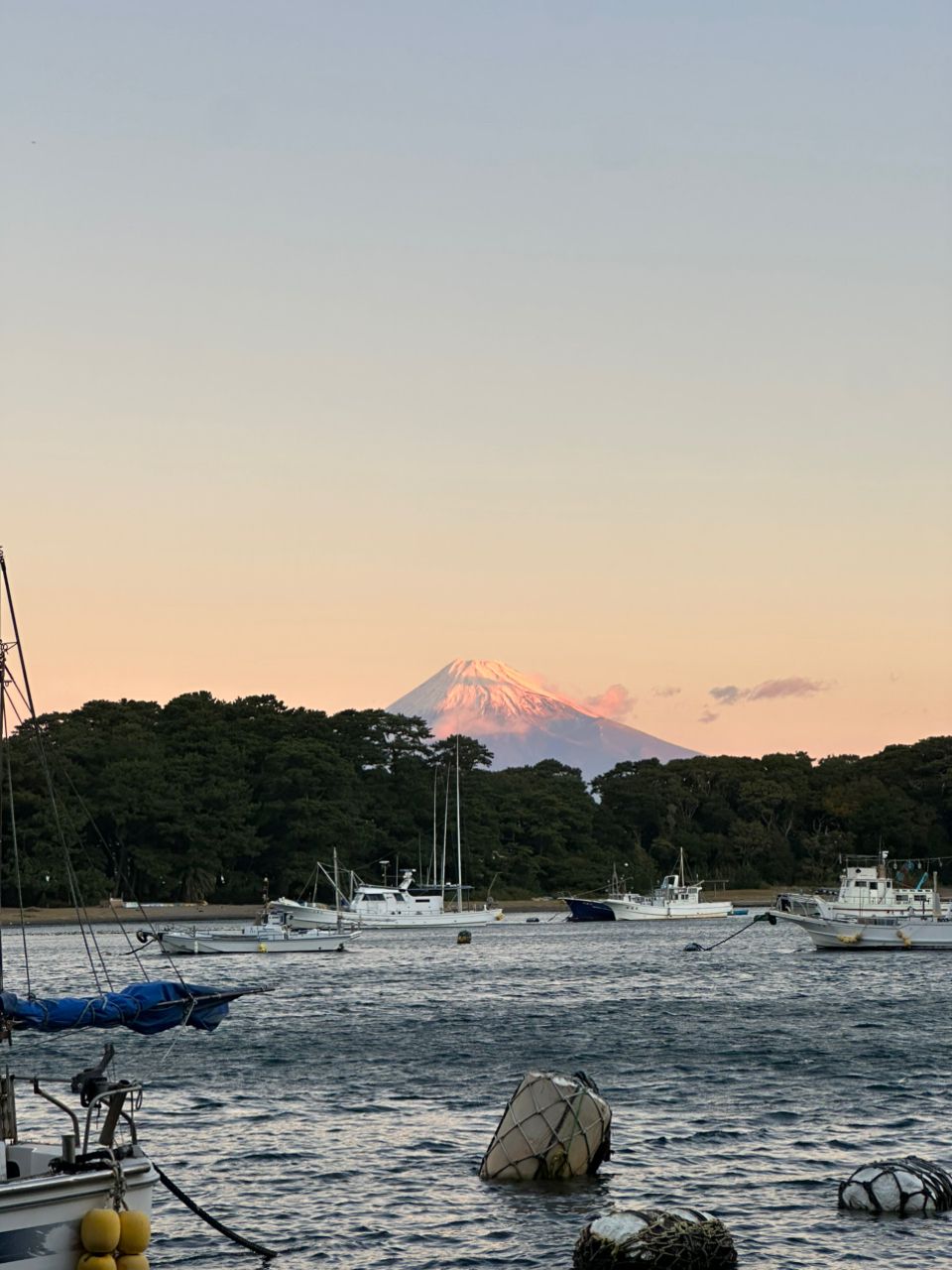 yasubeebobbyさんの釣果 2枚目の画像