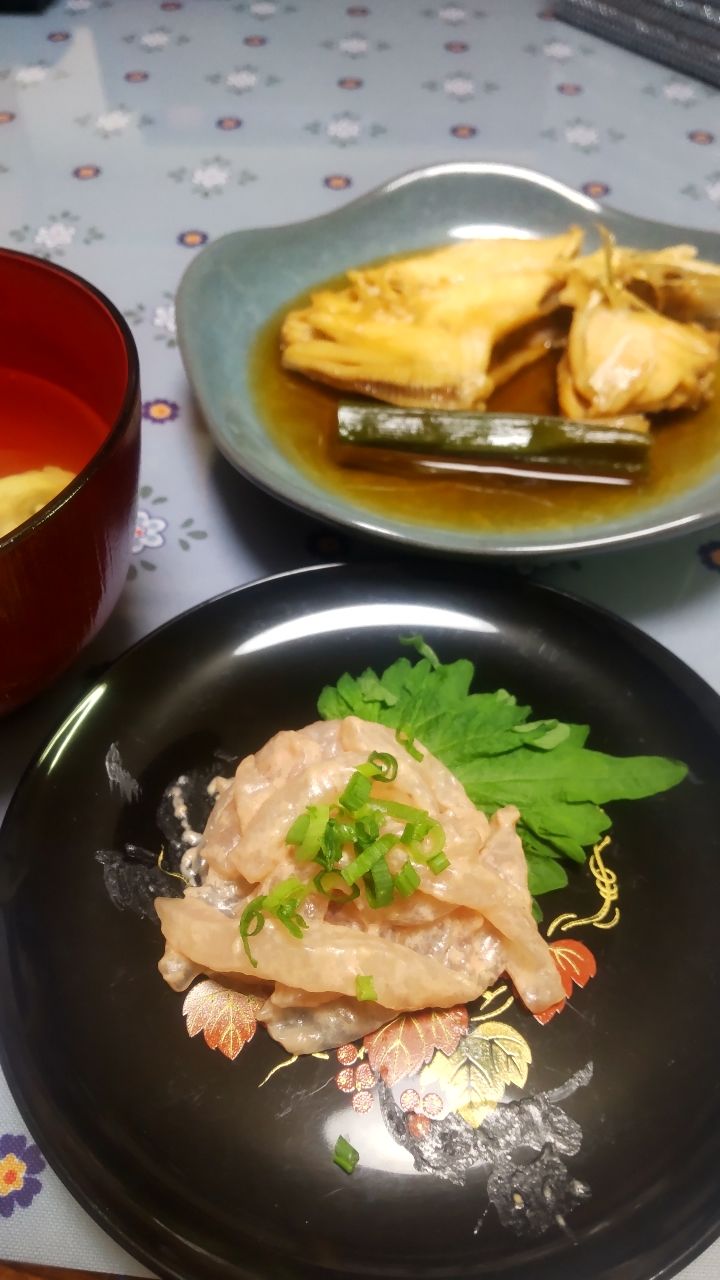 イカ時々魚さんの釣果 2枚目の画像