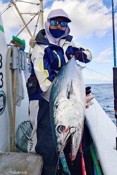 ハガツオの釣果