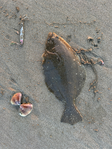 波崎海岸