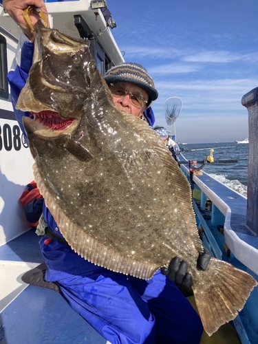 ヒラメの釣果