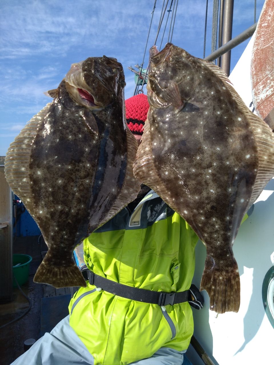 三浦丸　船長さんの釣果 2枚目の画像