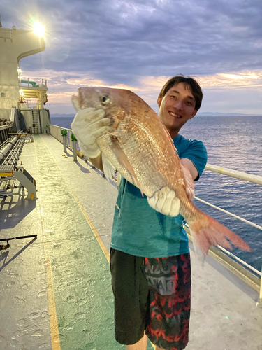 タイの釣果