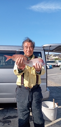 ハナダイの釣果