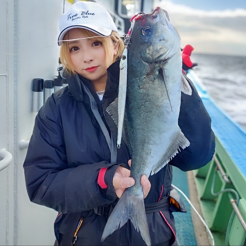 メダイの釣果