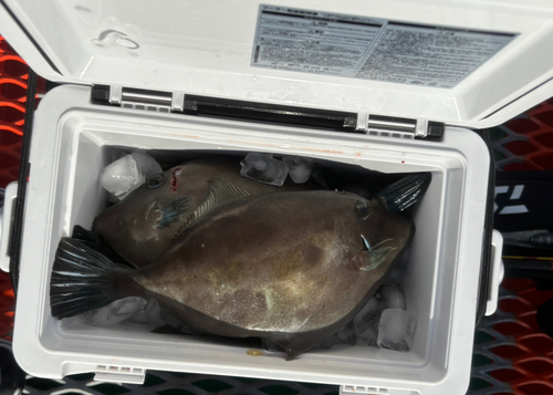 須磨海釣り公園