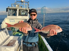 マダイの釣果