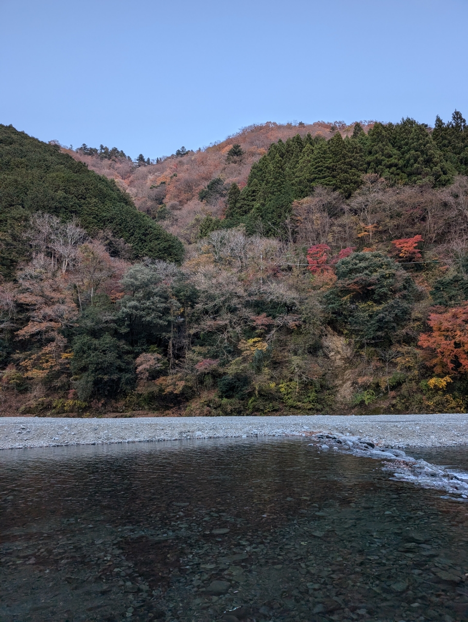 イワナ